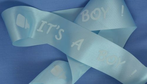 Baby Blue Gingham Ribbon 38mm, The Ribbon Jar